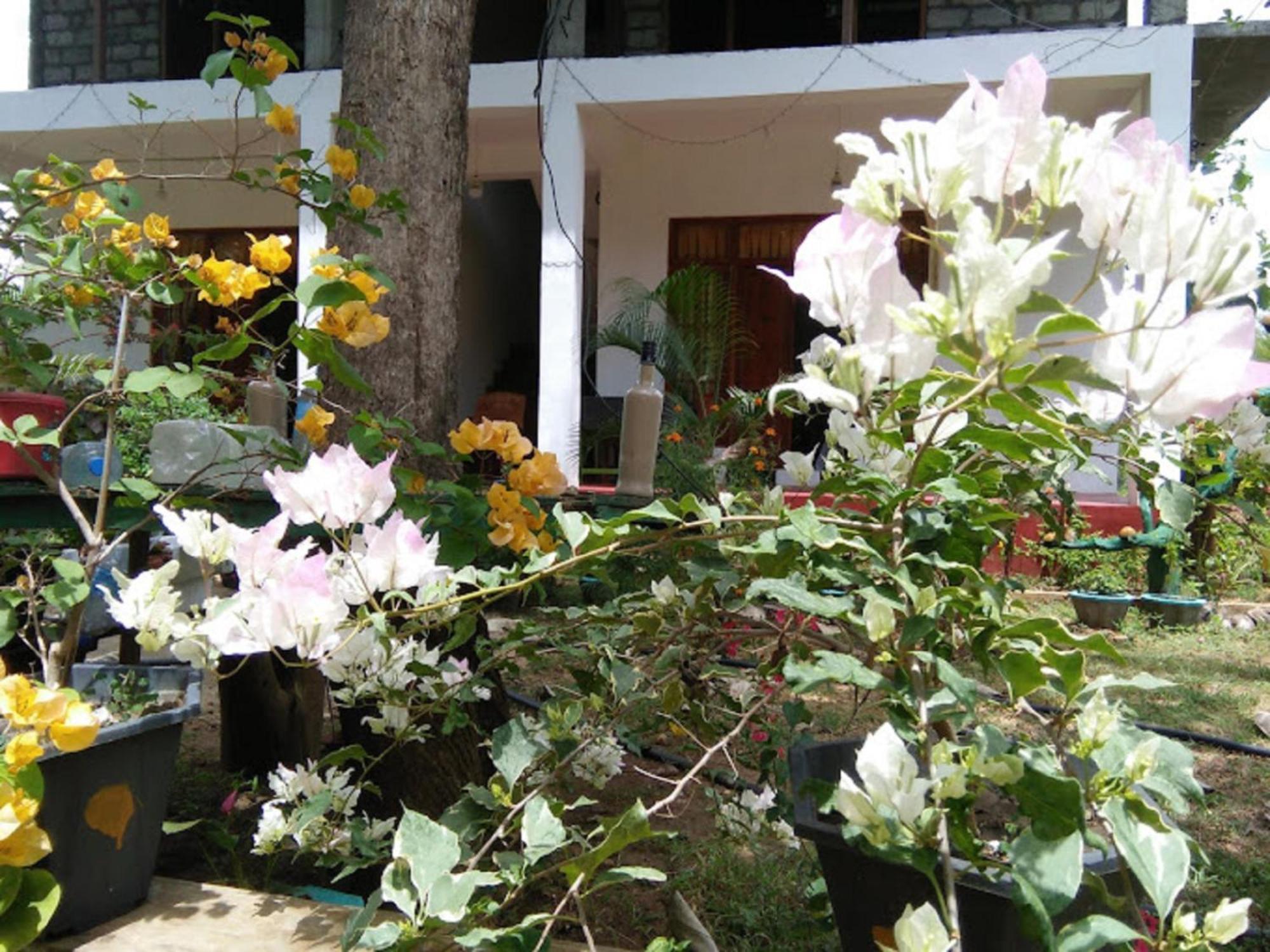 N S K Green Villa สิกิริยา ภายนอก รูปภาพ