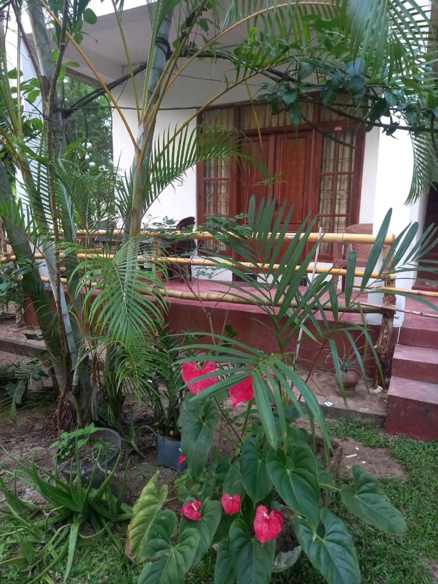 N S K Green Villa สิกิริยา ภายนอก รูปภาพ