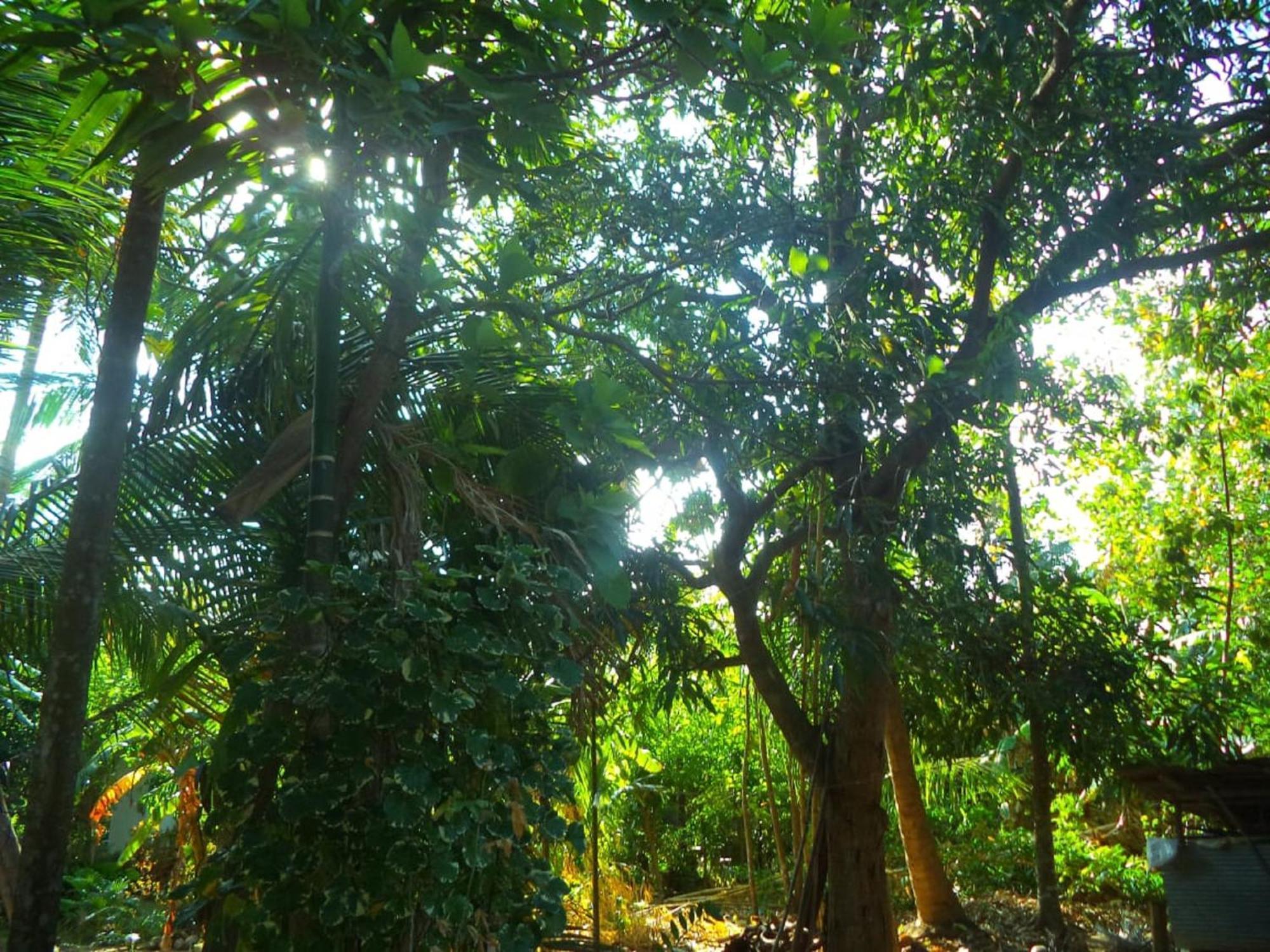 N S K Green Villa สิกิริยา ภายนอก รูปภาพ