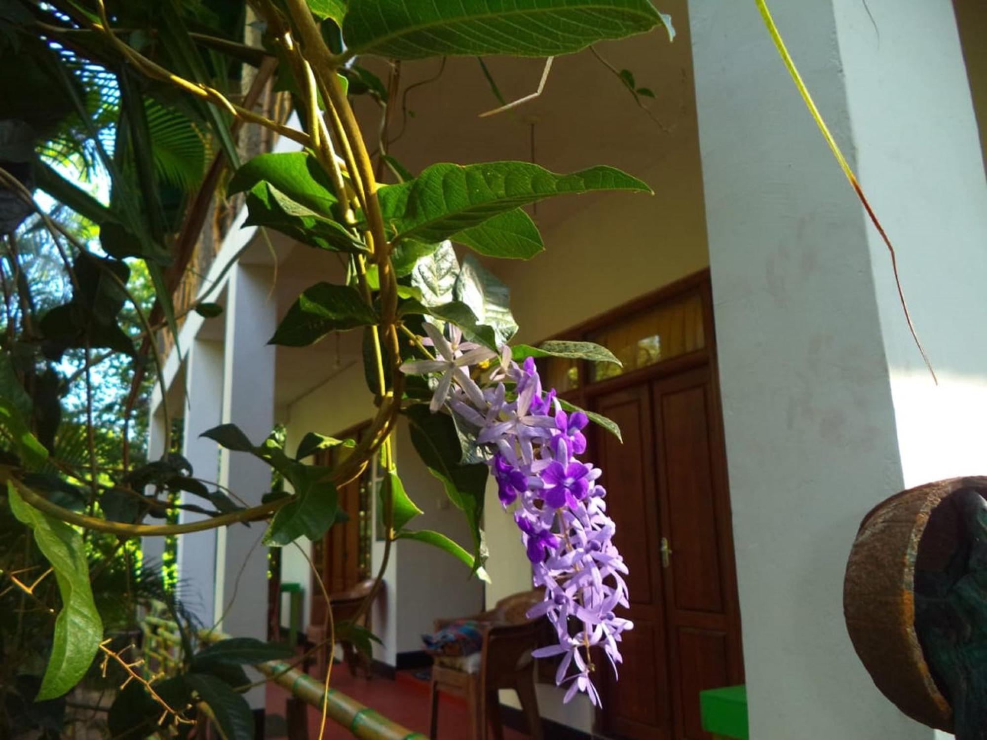 N S K Green Villa สิกิริยา ภายนอก รูปภาพ